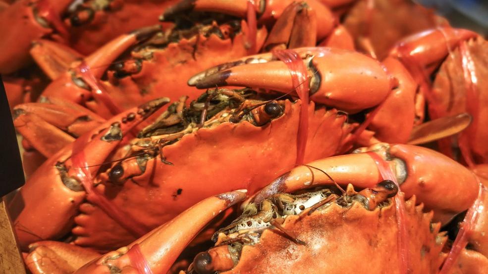 MD Health Dept. urges people not to eat fresh crab meat from Venezuela