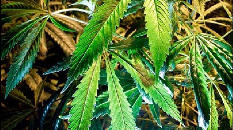 131118_pot.jpg