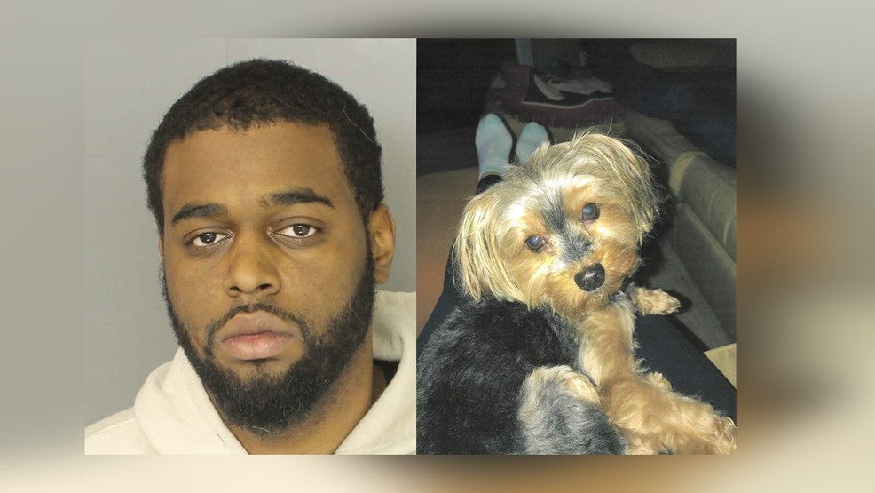 Man Found Guilty Of Aggravated Animal Cruelty In Dog's Death | WHP