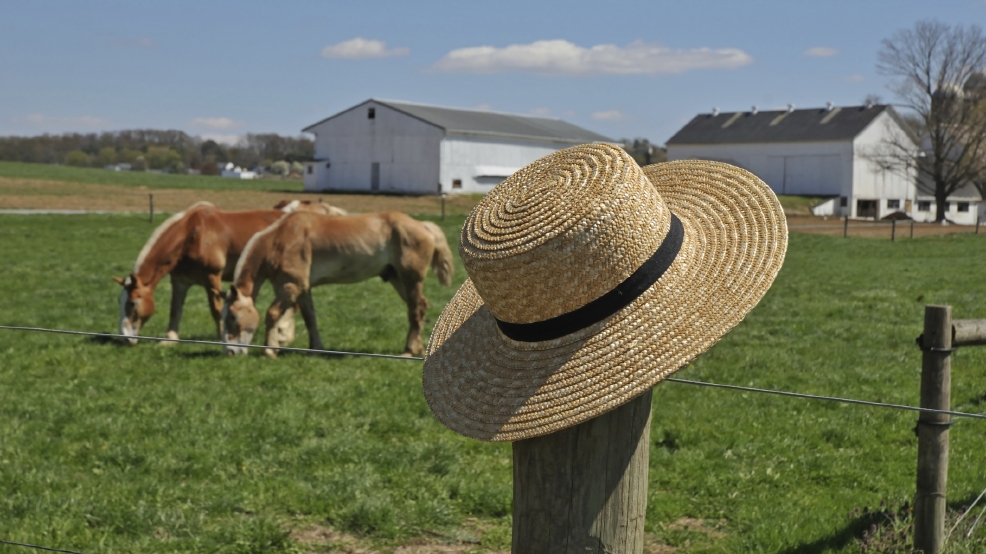 Take A Trip To Amish Paradise Cincinnati Refined