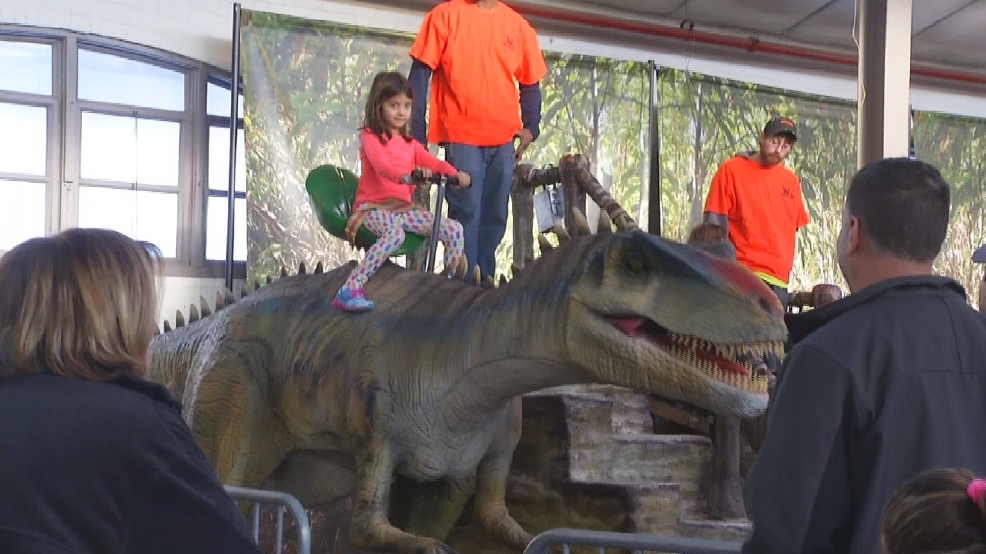 dinosaur fair