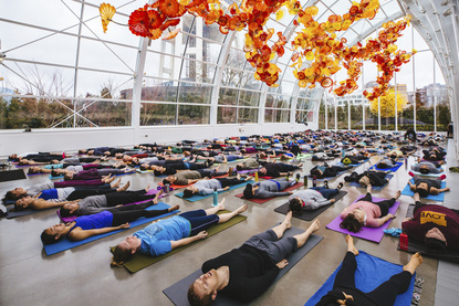 Photos If You Think Your Yoga Class Is Zen Just Wait Until You