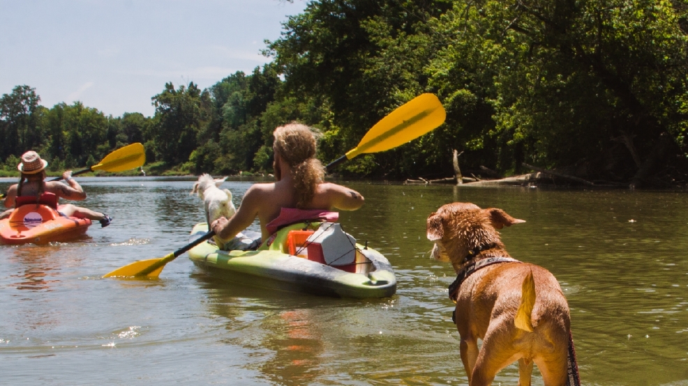 Green Acres Canoe & Kayak Is The Best Way To Conquer The Whitewater