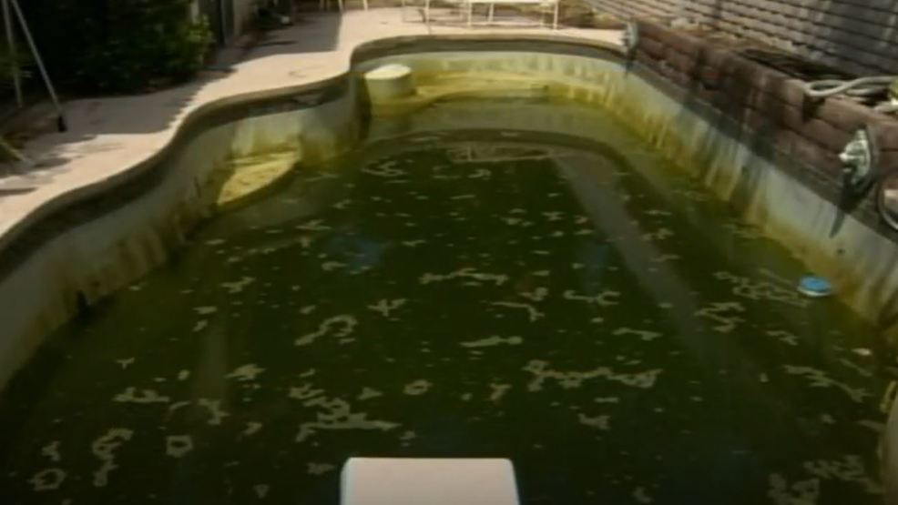 Residents urged to report green pools, pose hazard to public's health