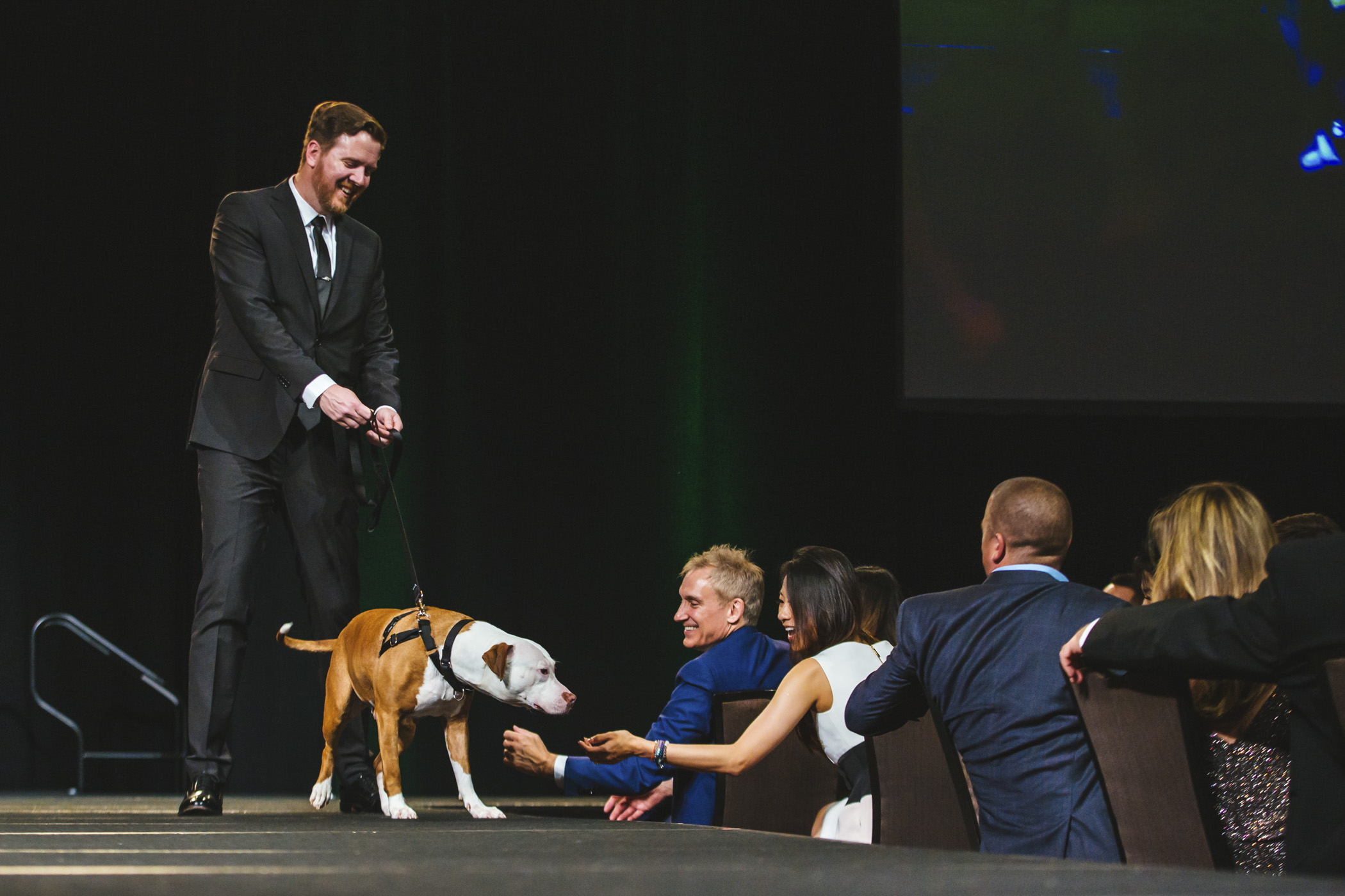 Photos 2019 Tuxes and Tails event raises 1.5M for Seattle Humane