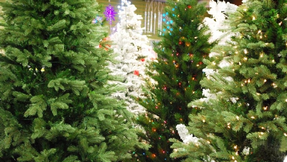 Christmas tree collection to begin in Arlington | WJLA