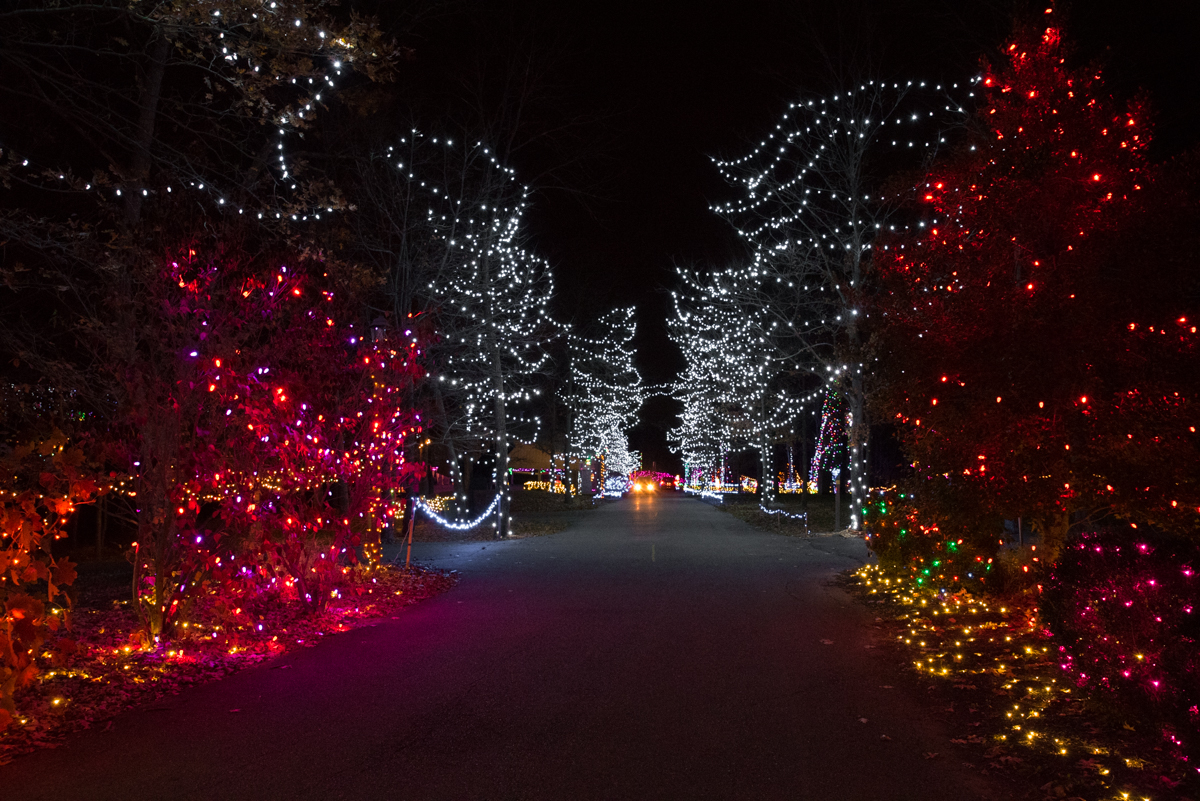 Photos Lights on the Hill at Pyramid Sculpture Park Cincinnati Refined