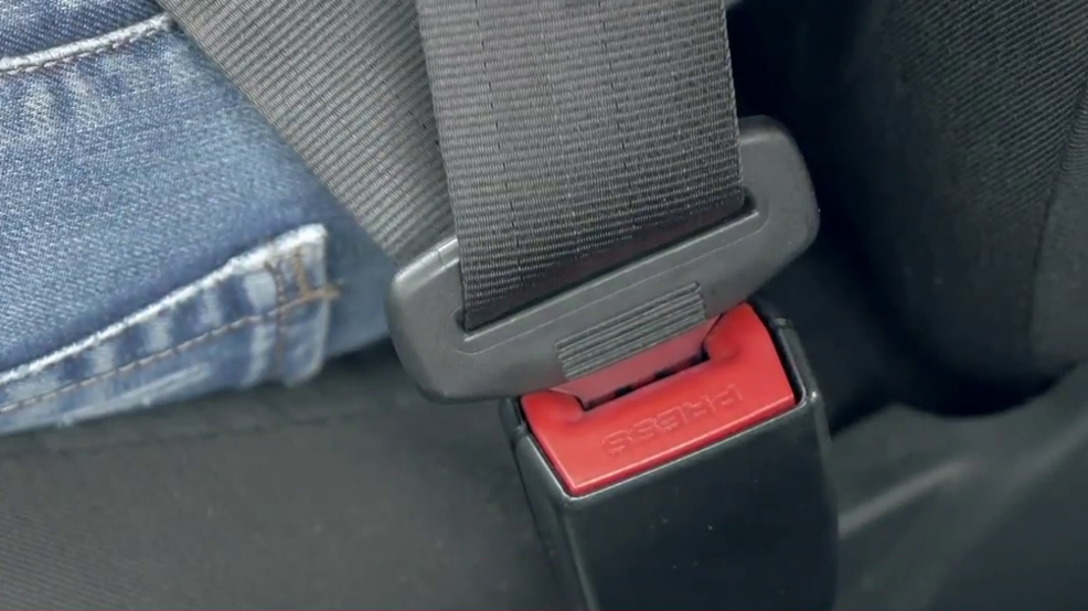 Buckle Up! New law would require everyone wear a seat belt in the