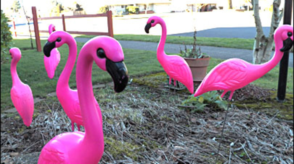 De Pere Pink Flamingos mark 34th annual tournament with 1 million