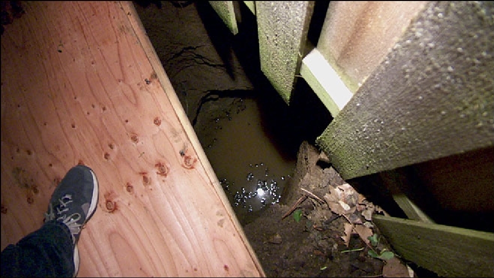 You Dont Expect Somebody To Be 20 Feet Under The Ground In Their Own Back Yard You Dont Expect Somebody To Be 20 Feet Under The Ground In Their Own Back Yard