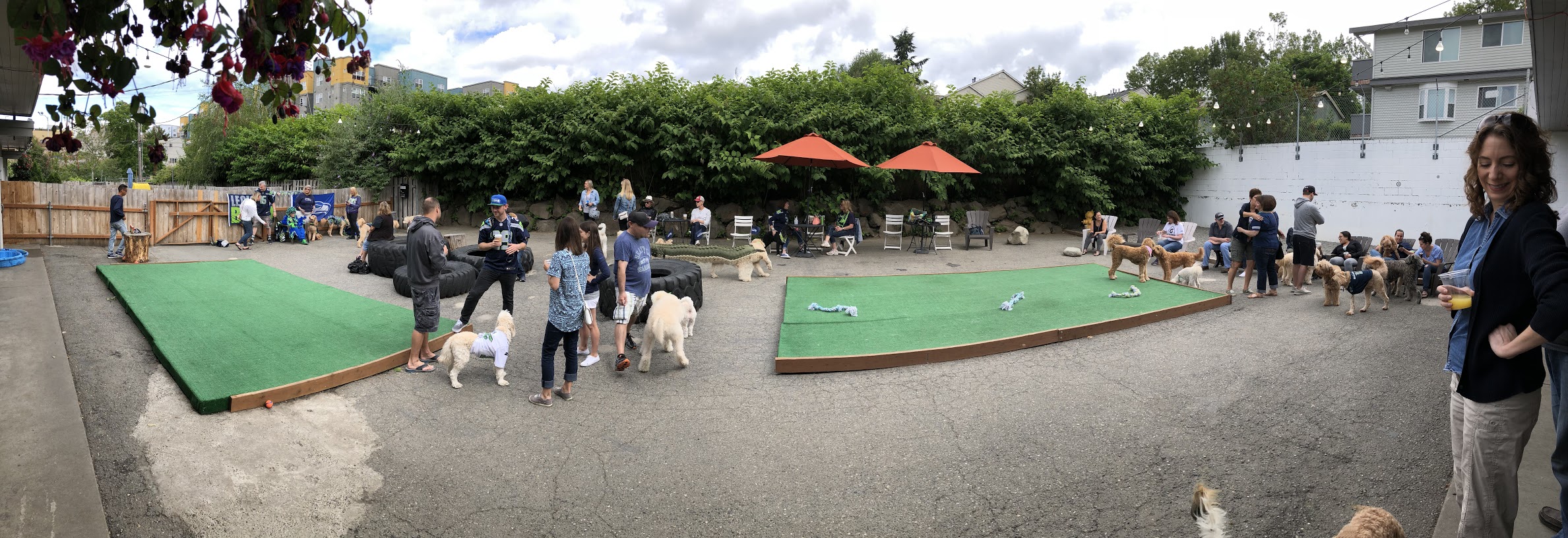 There's an indoor dog park SLASH bar that will probably save your life