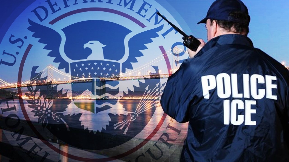ICE arrests 'self-admitted' MS-13 gang member released 'with disregard' to active detainer