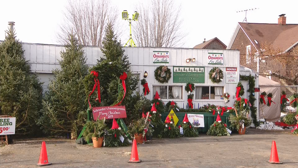 Neenah Christmas tree farm participates in 'Trees for Troops' WLUK