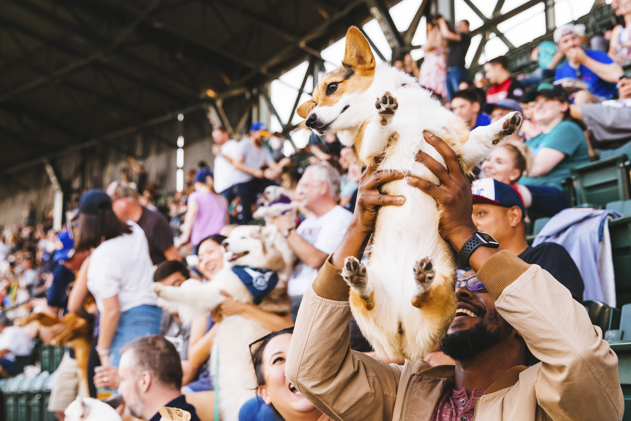 Photos Mariners' Bark at the Park returns for a howling good time