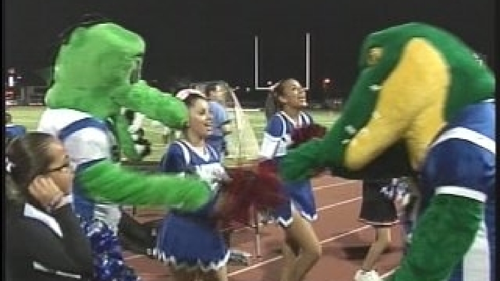 gator_fist_bump.jpg
