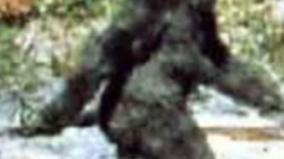 Bigfoot Dna Evidence Shows Its A Human Relative Kmph 7421