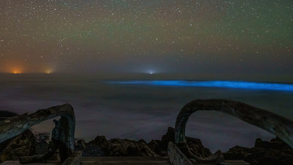 Pacific Ocean glows an eerie blue with bioluminescence off Washington