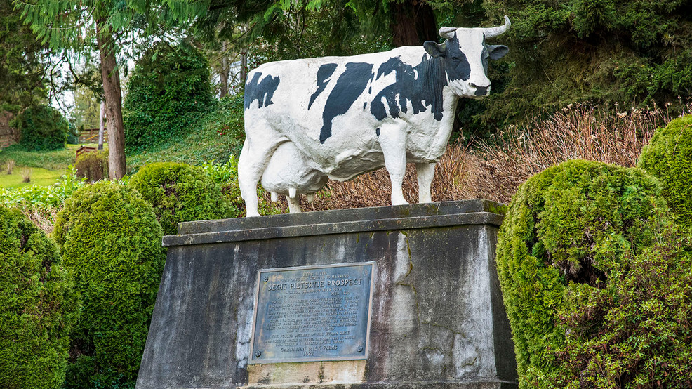 Photos Carnation, WA home of the World's Champion Milk Cow statue