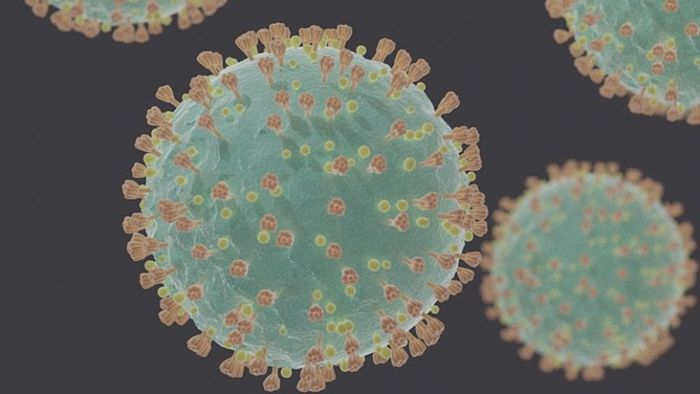 Coronavirus_COVID-19_virus.jpg Coronavirus_COVID-19_virus.jpg