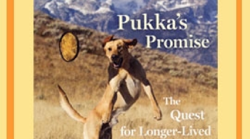 Pukka-Promise.jpg