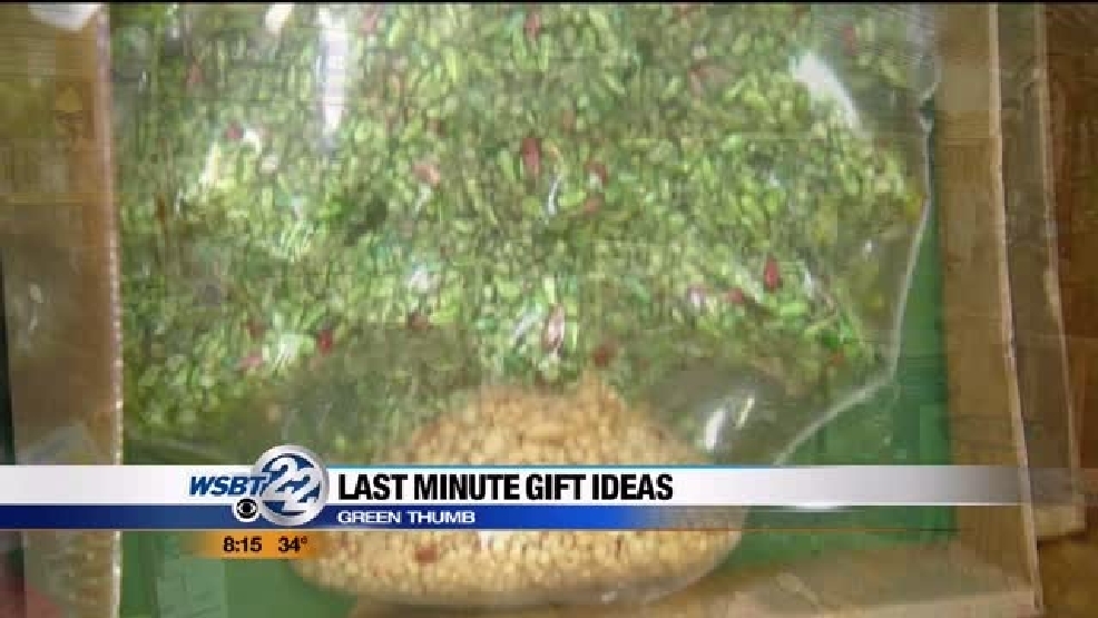 img-Green-Thumbs-Last-Minute-Gift-Ideas.jpg img-Green-Thumbs-Last-Minute-Gift-Ideas.jpg