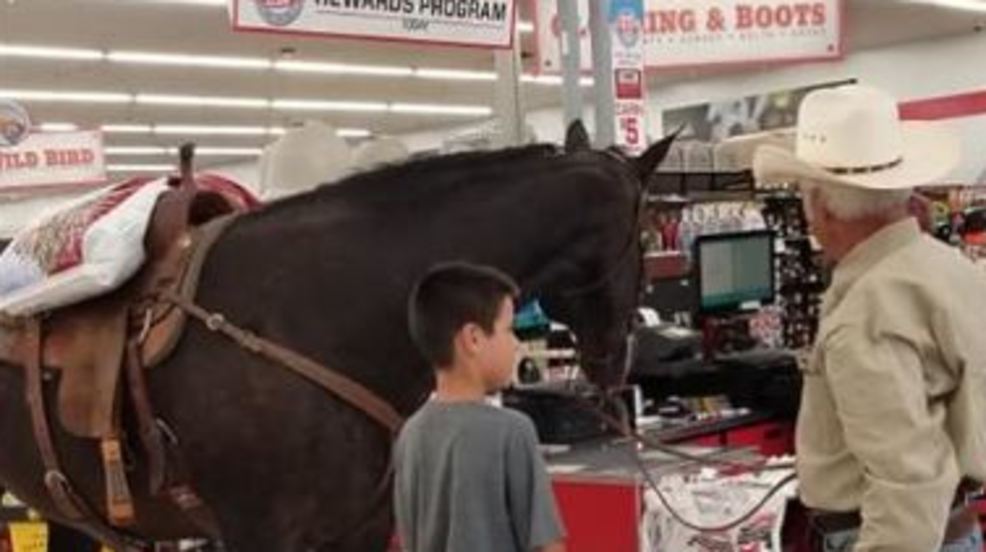 horse feed supply store near me