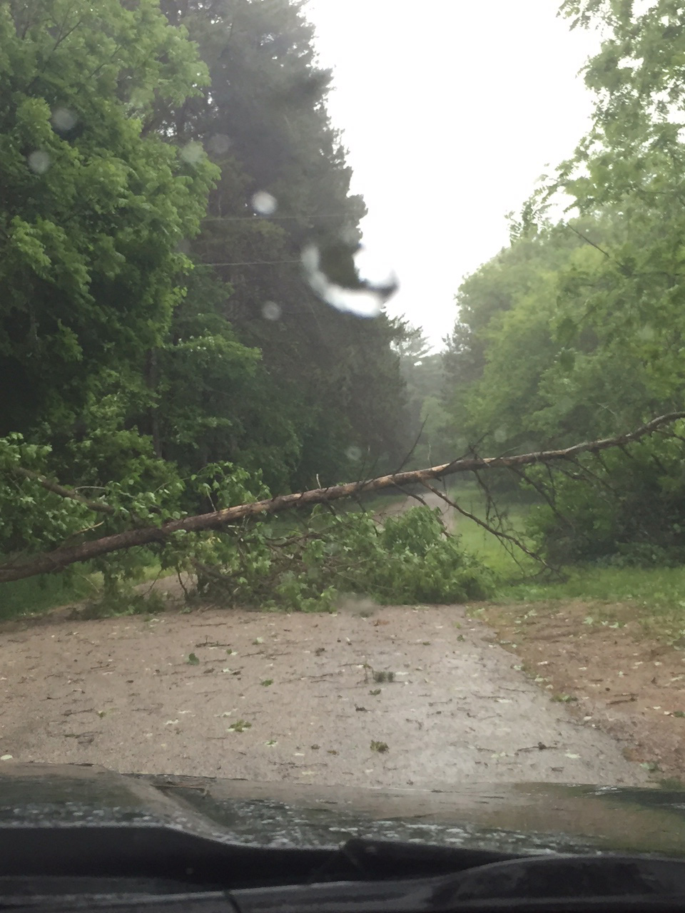 High winds and rain hit Northeast Wisconsin WLUK