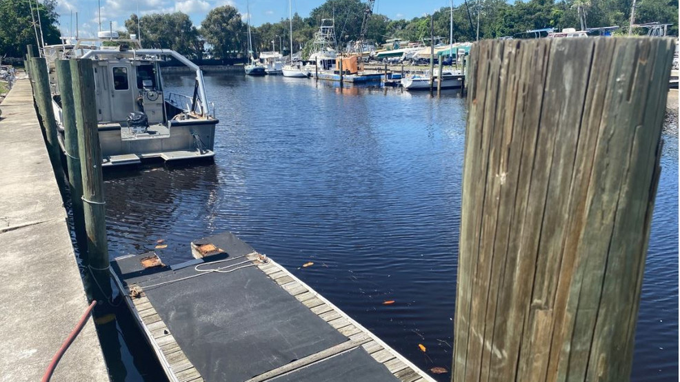 Algae Bloom Conditions Intensify In Lake Okeechobee Making Discharges