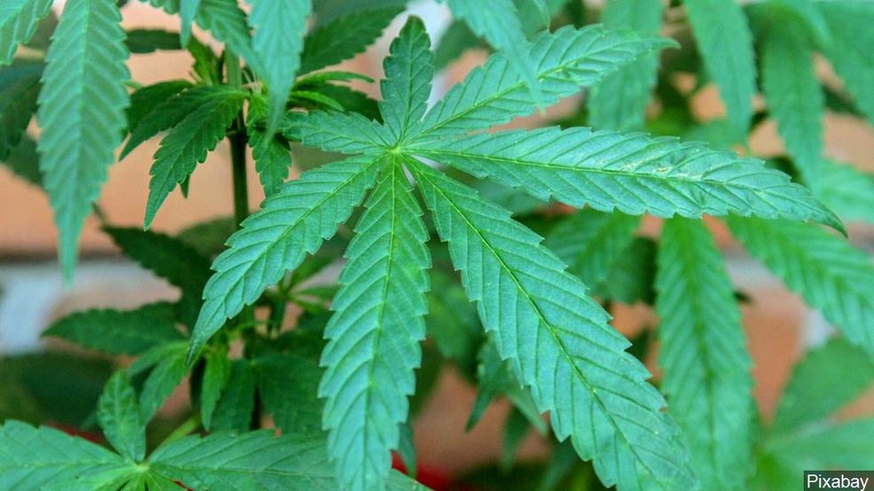 New Hampshire gives initial approval to recreational pot